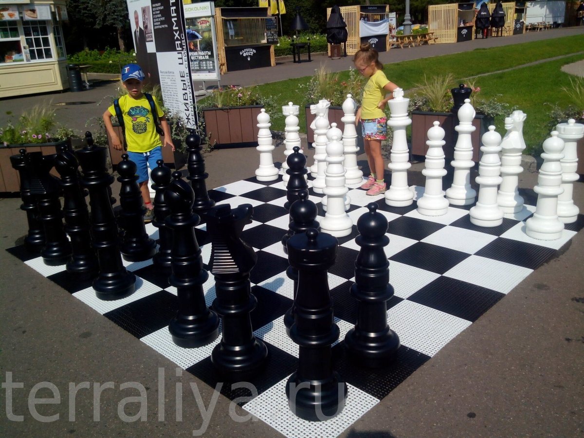 Фигуры шахматные гигантские (Король 75 см)