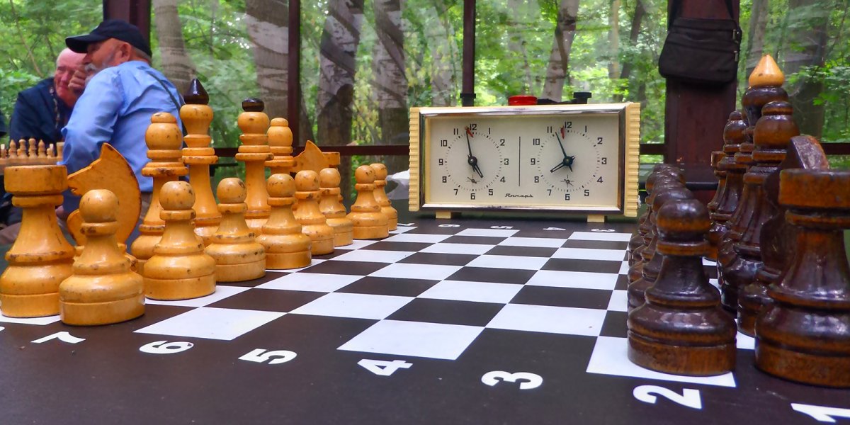 Гончаровский парк шахматы