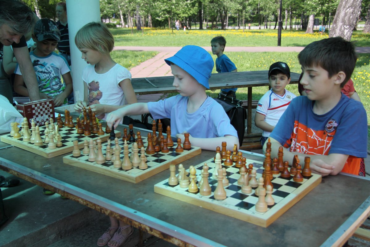 Шахматисты в парке
