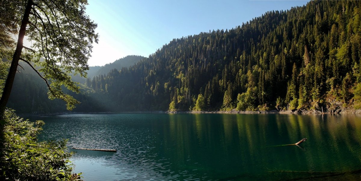 Озеро Рица Абхазия летом