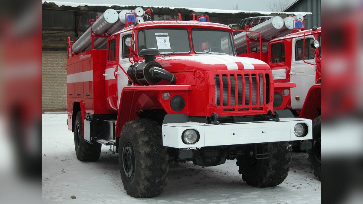 Урал пса 43206