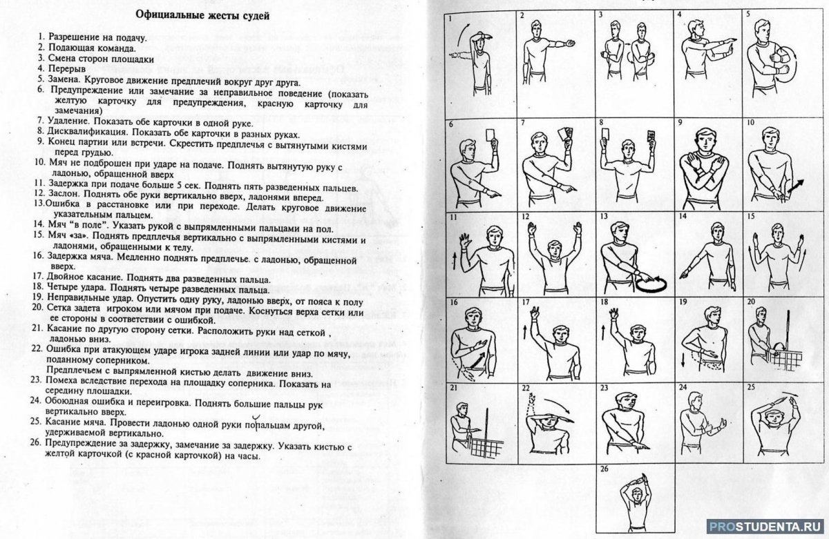 Судья по баскетболу