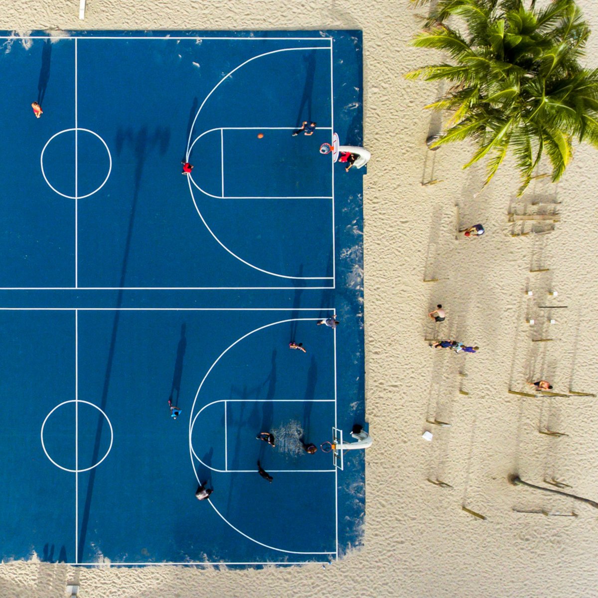 Баскетбольная площадка 2д