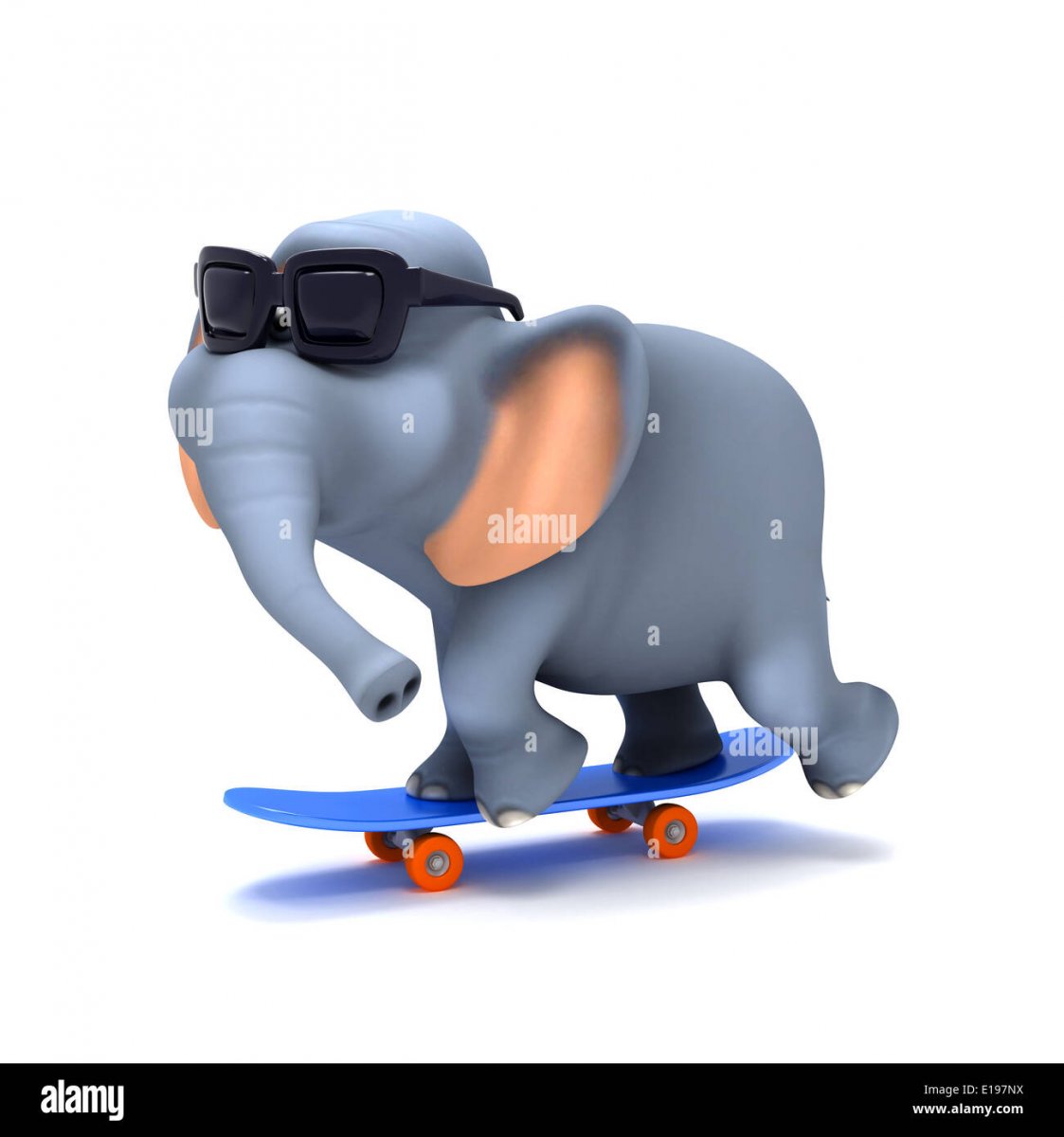 Слон на скейтборде