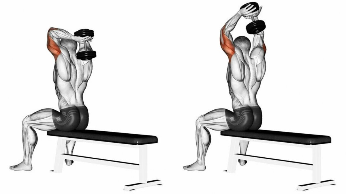 Seated Dumbbell Tricep overhead Extension