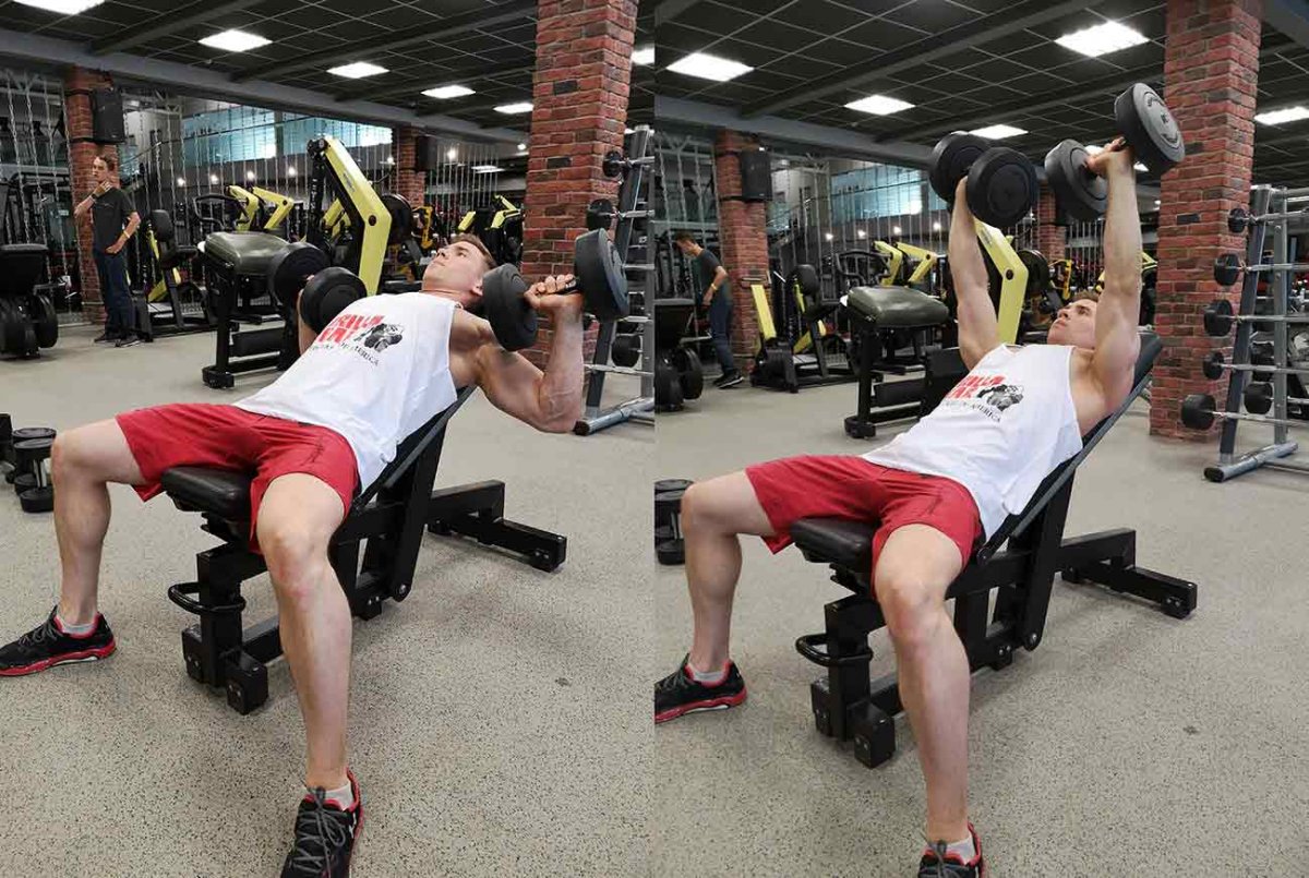 Seated Incline Dumbbell Curl