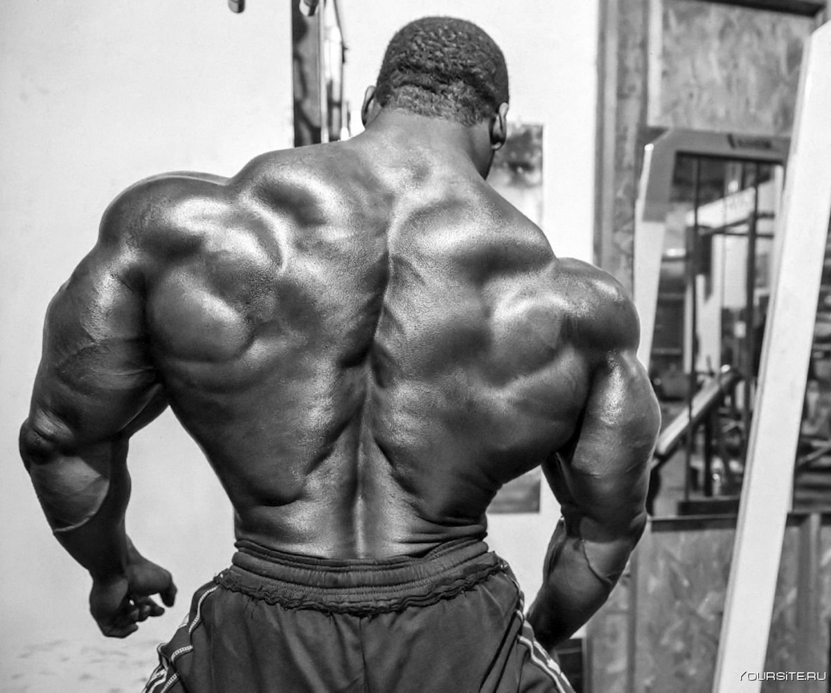 Simeon Panda спина