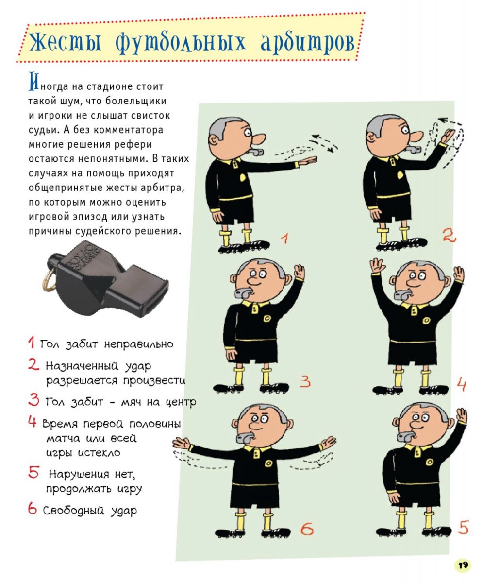 Дзюдо правила борьбы