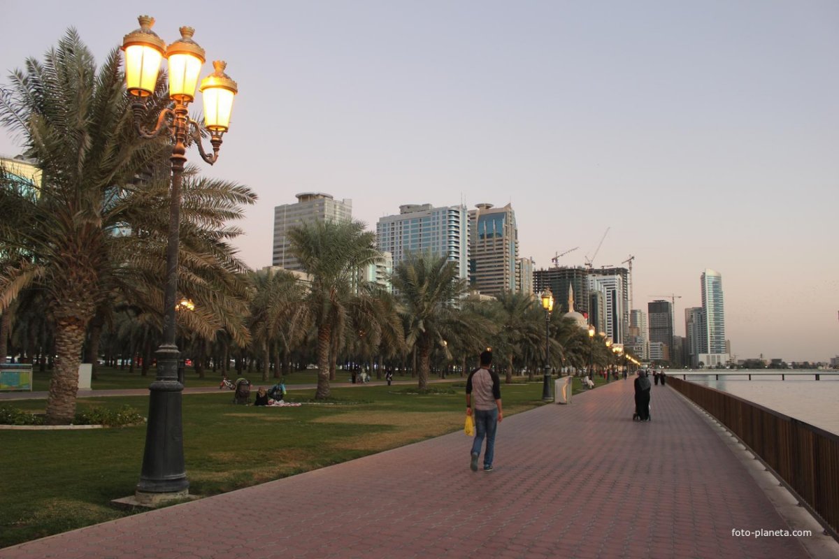 ОАЭ - институт Шарджи, Дубай
