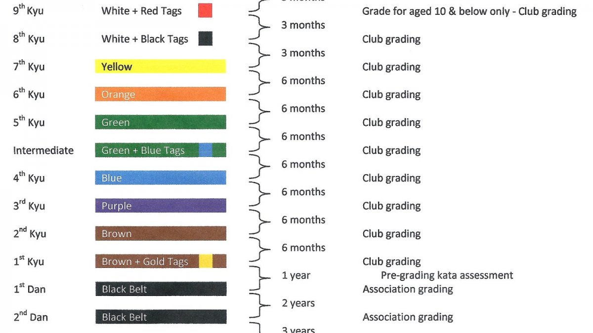 Каратэ киокусинкай пояса по порядку цвета