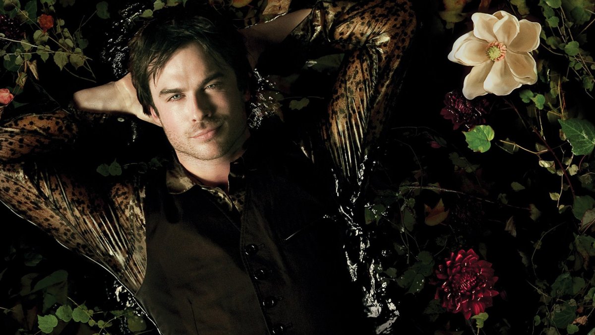 Йен Сомерхолдер фигура