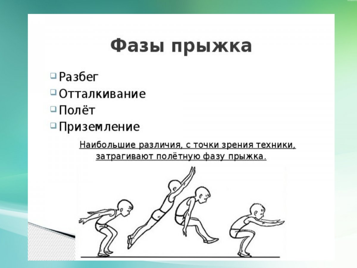 Фазы техники прыжка в длину с места