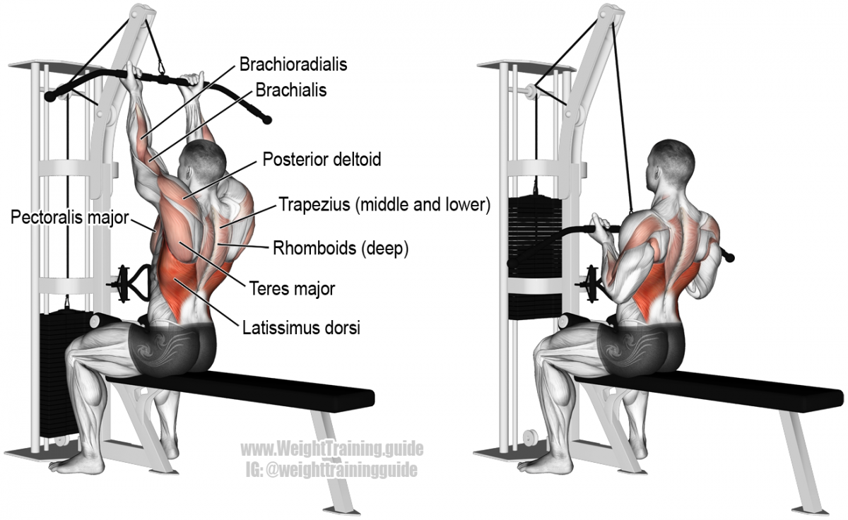 Жим штанги лежа в Смите