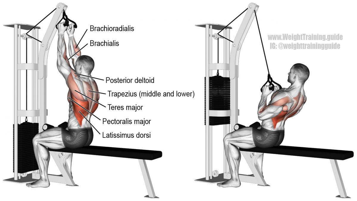 Тяга вертикального блока широким хватом к груди