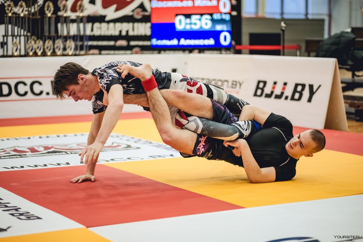 ADCC грэпплинг