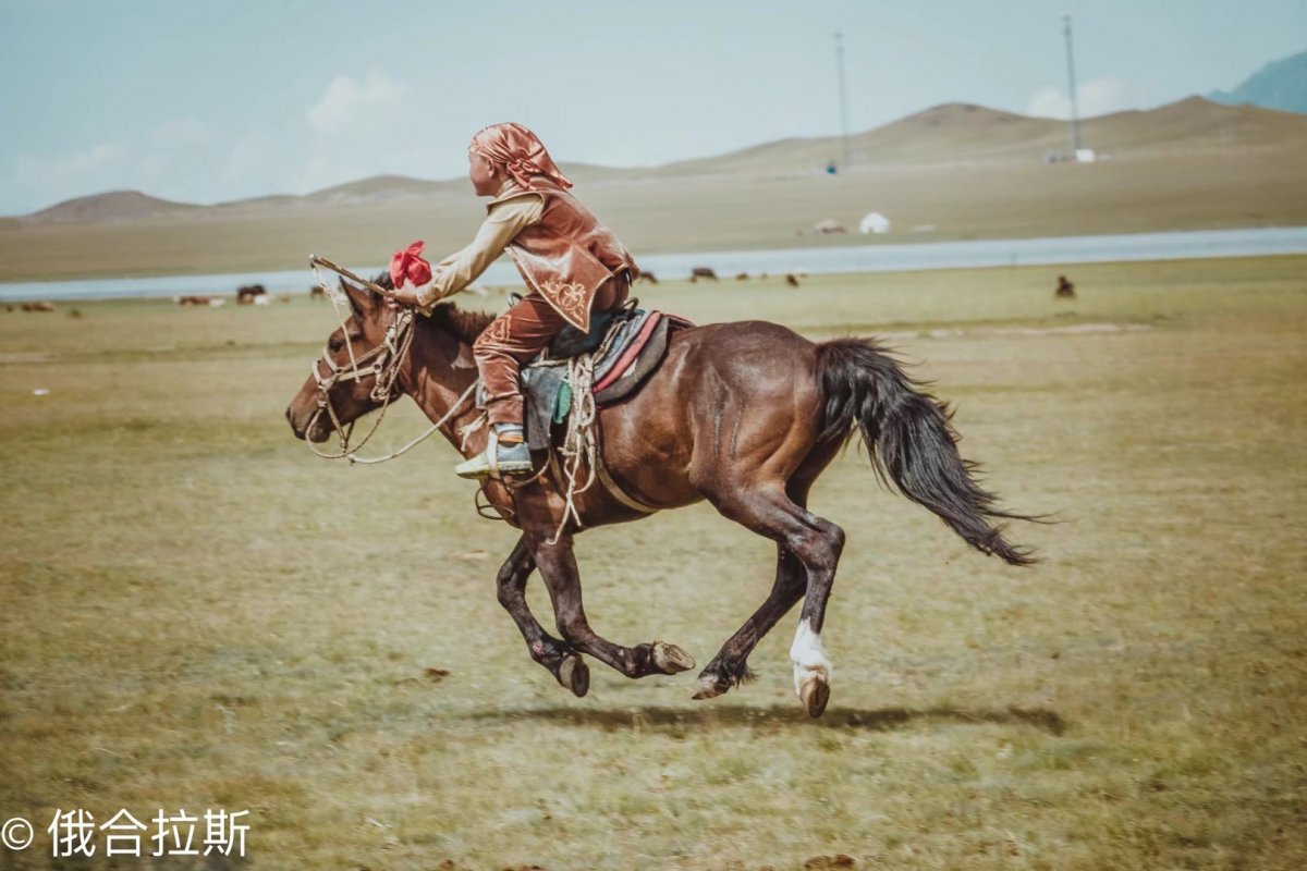 Соколиная охота Кыргызстан