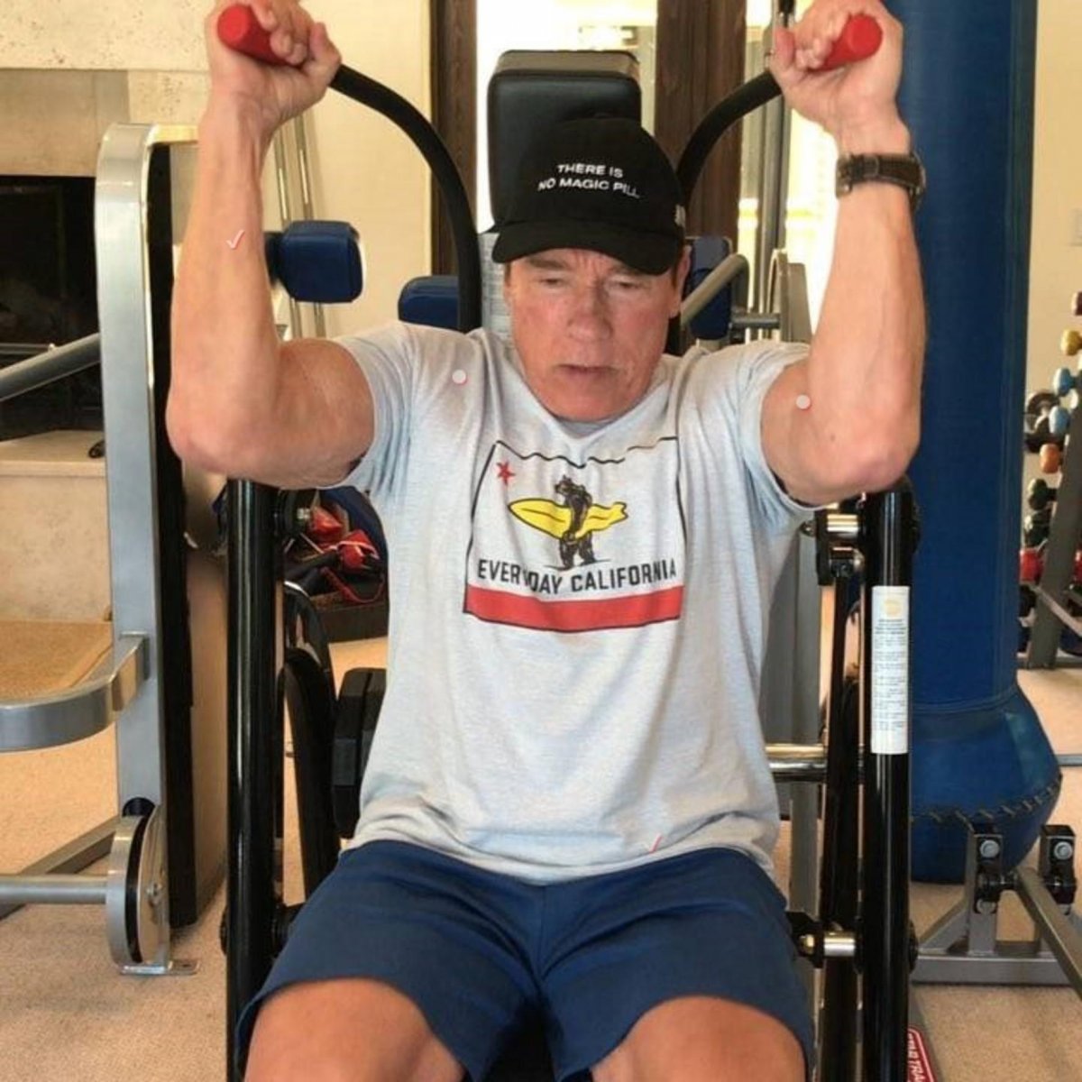 Зал Арнольда Шварценеггера Gym