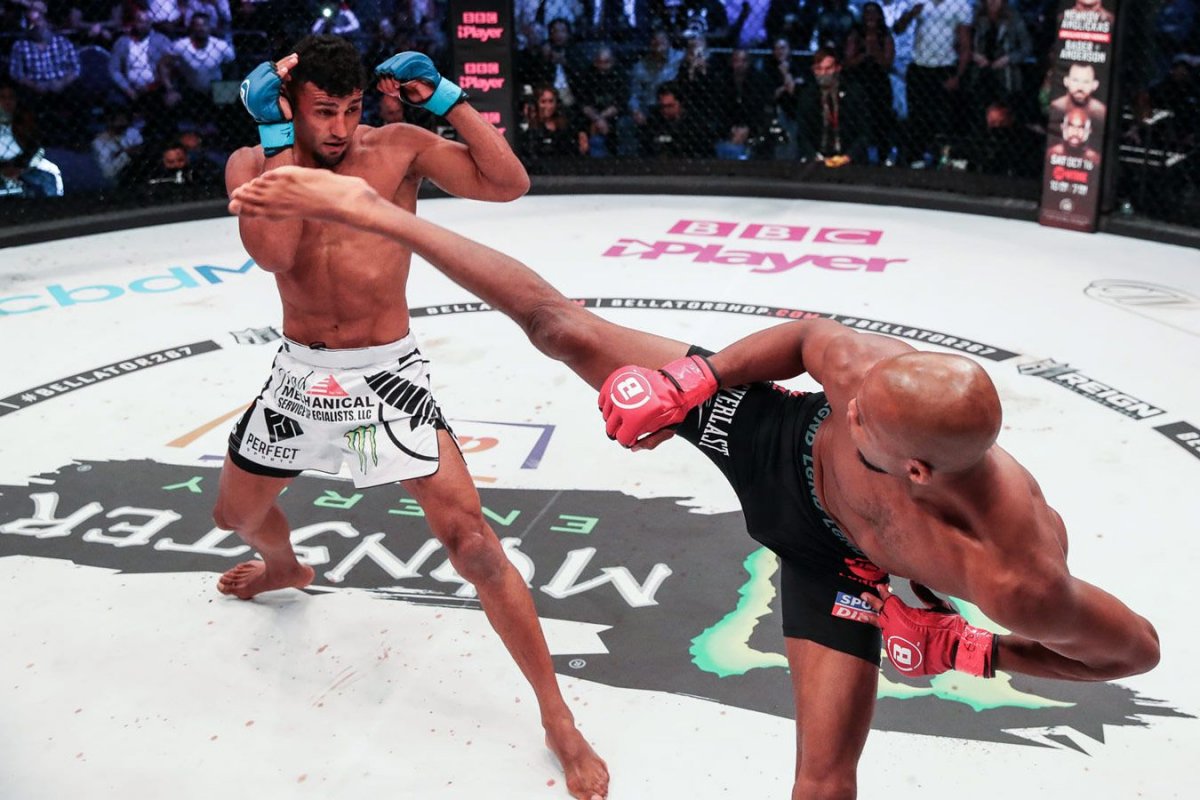 Майкл Джонсон полусредний вес