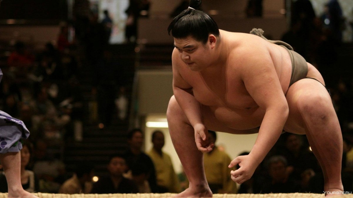 Самый толстый сумоист в мире
