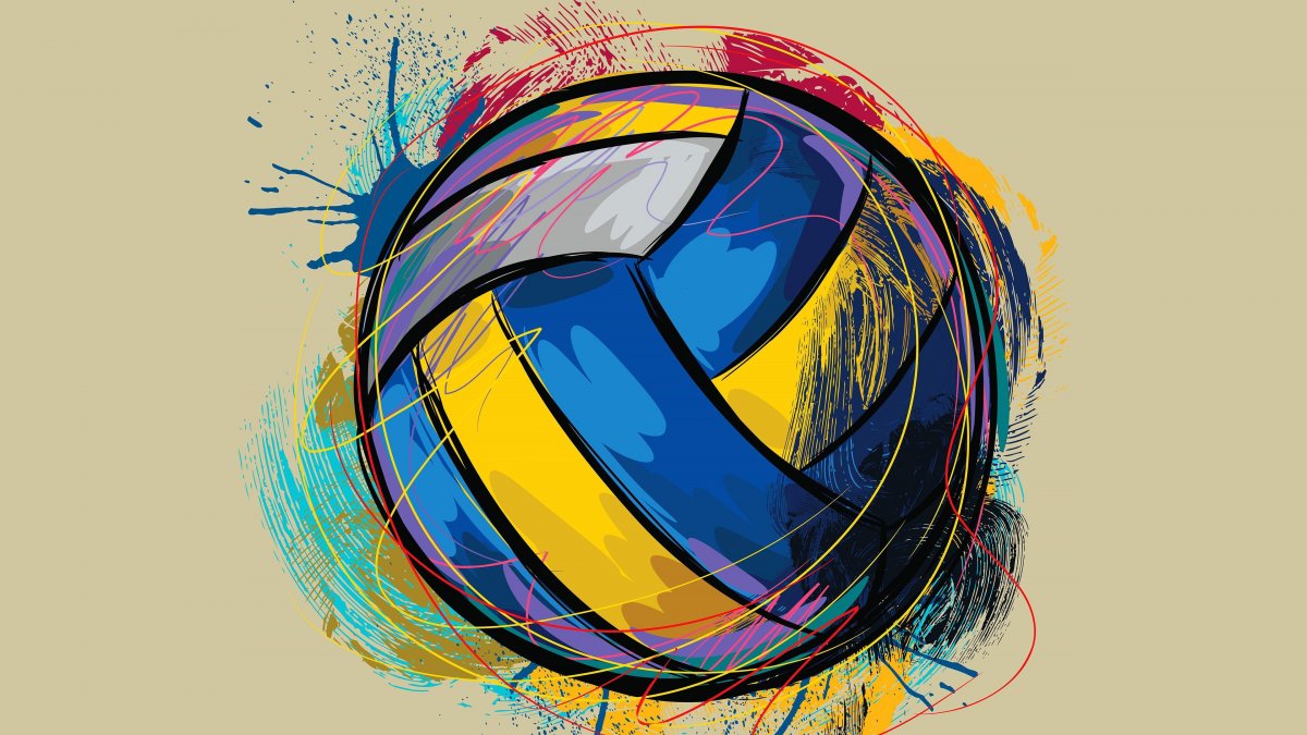 Волейбольный мяч арты