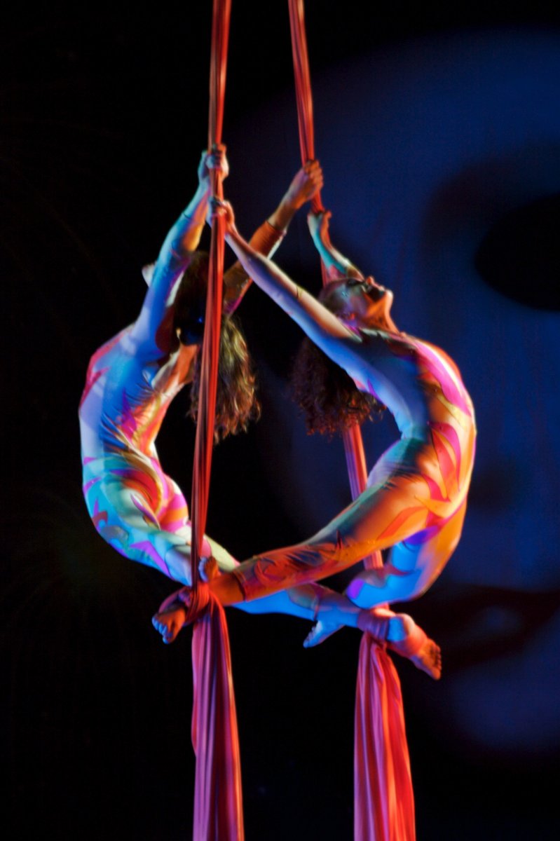 Воздушные полотна Aerial Silks