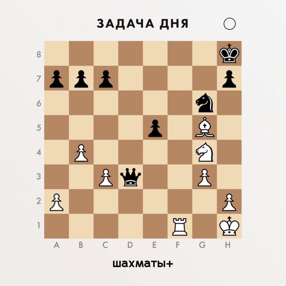 Chess n ok мат в 1 ход