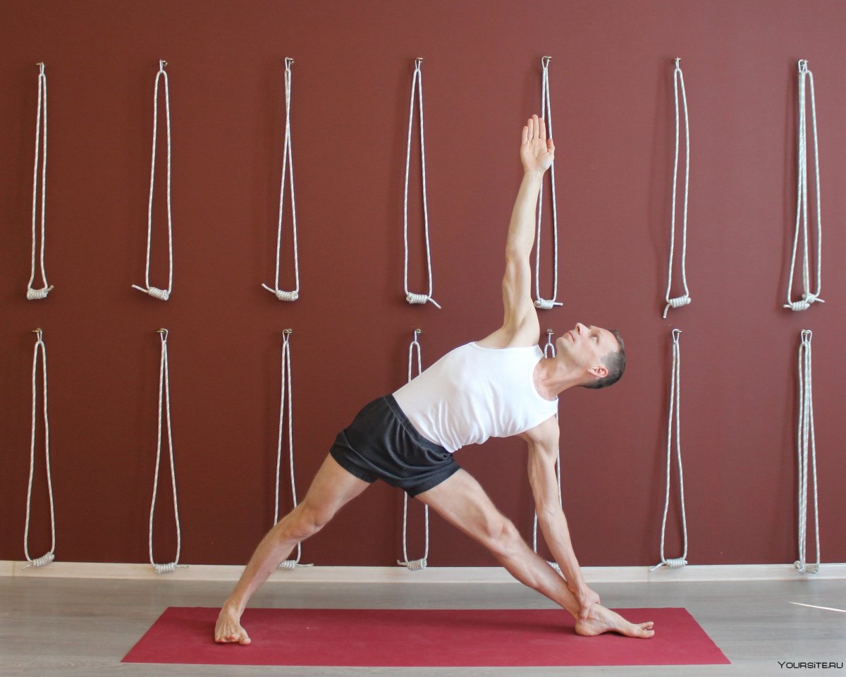 Врикшасана йога Айенгара