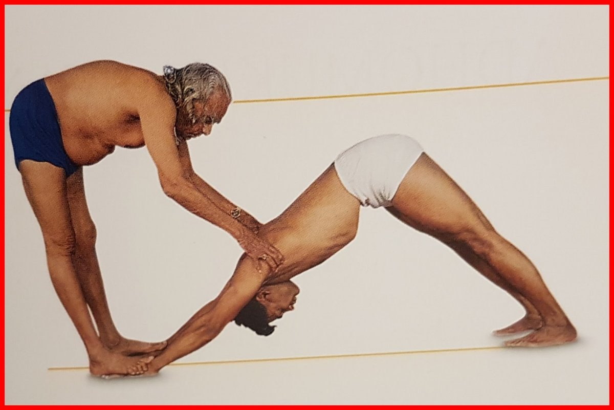 Айенгар б. "свет жизни: йога"