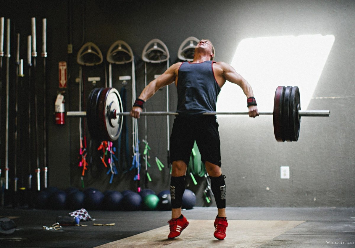 Подъем гантелей на бицепс молот