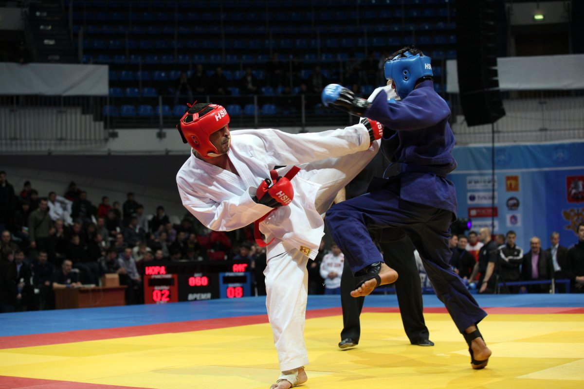 Чемпион мира по рукопашному бою