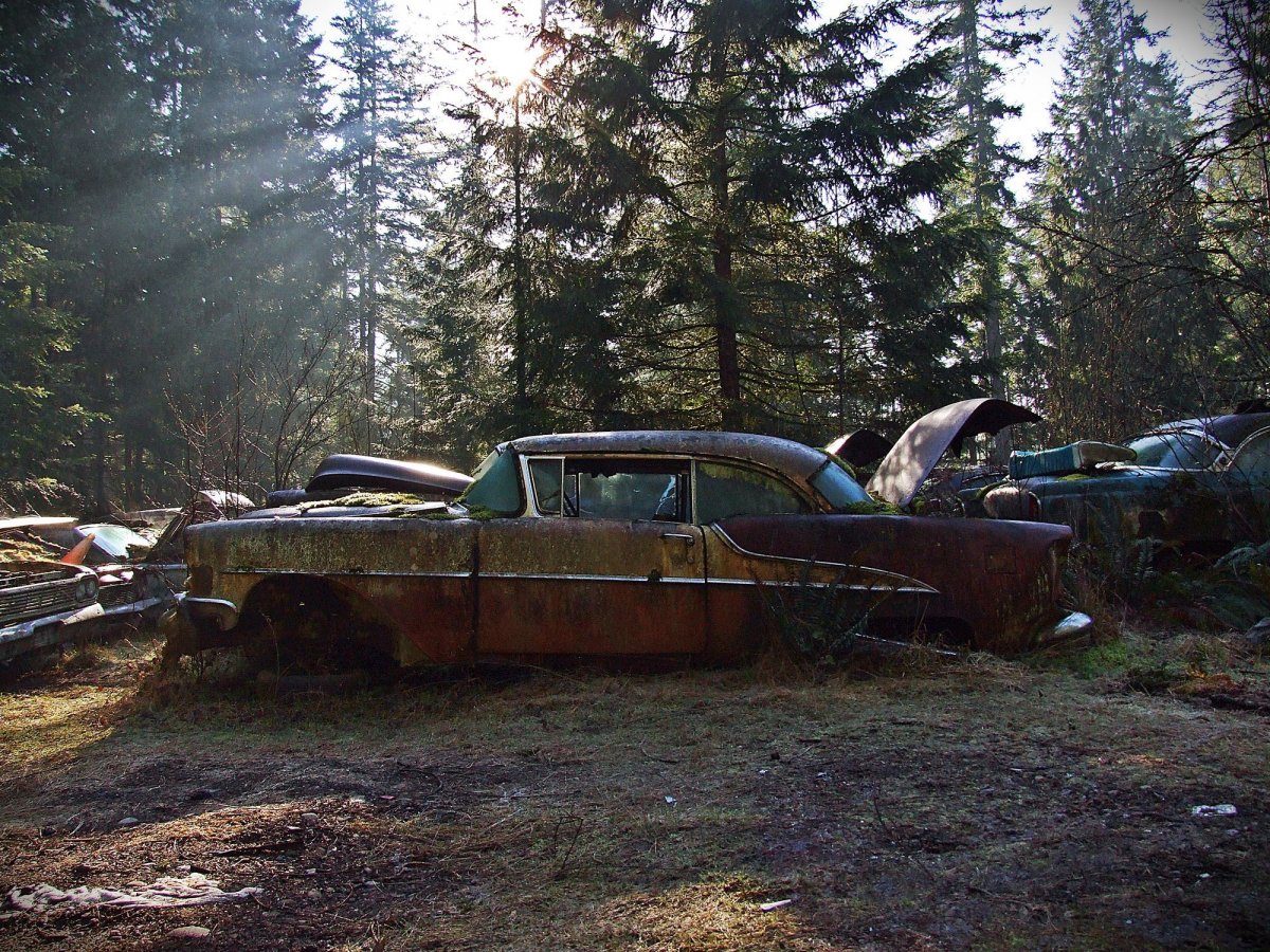 Кладбище автомобилей в Америке лесу