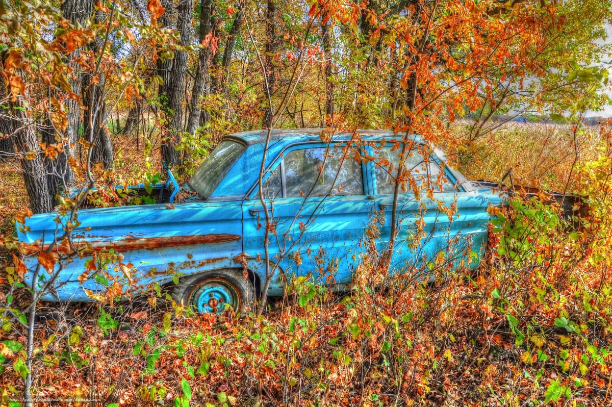 Заброшенная авто осенью
