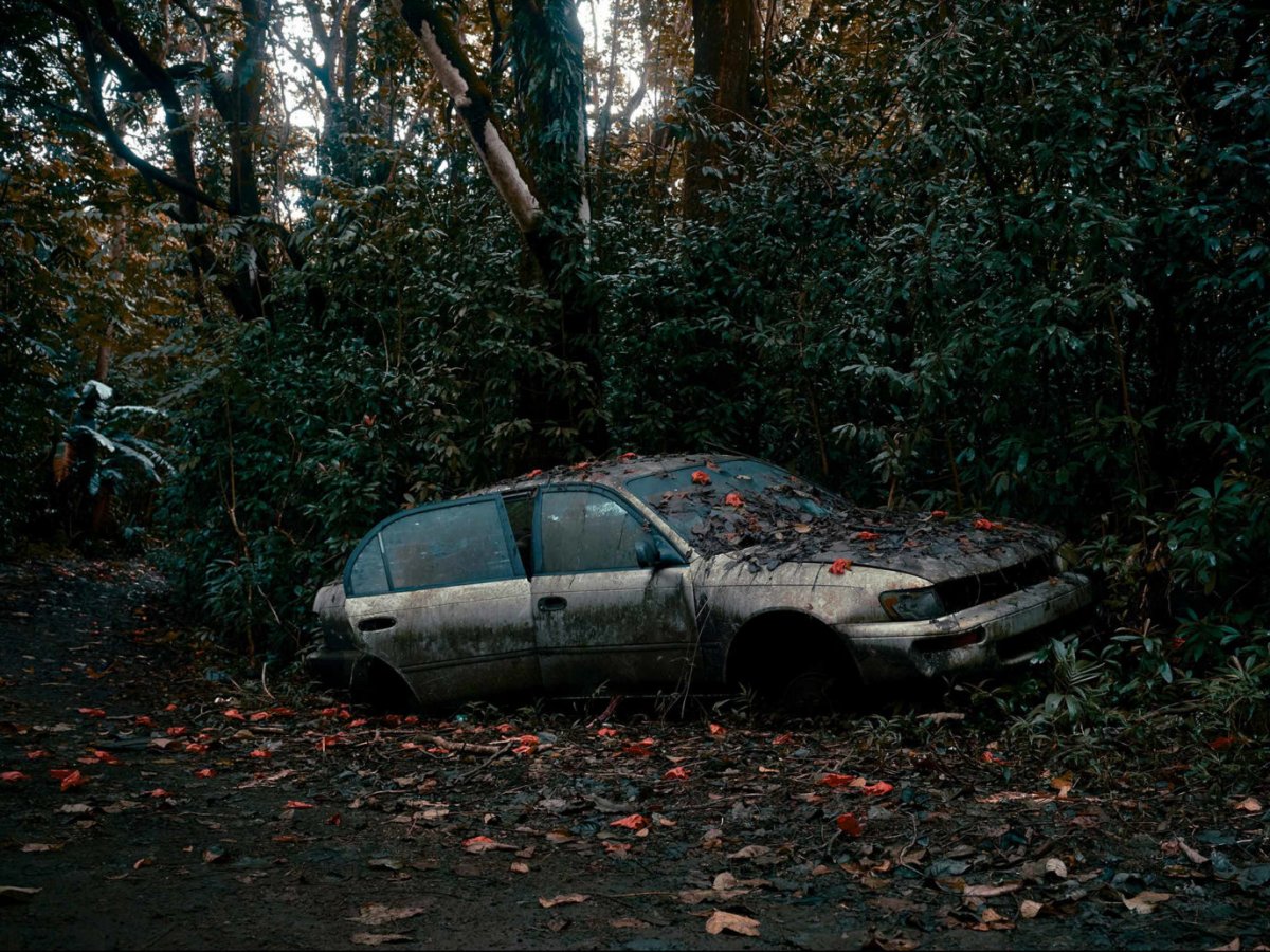 Заброшенные машины в лесу
