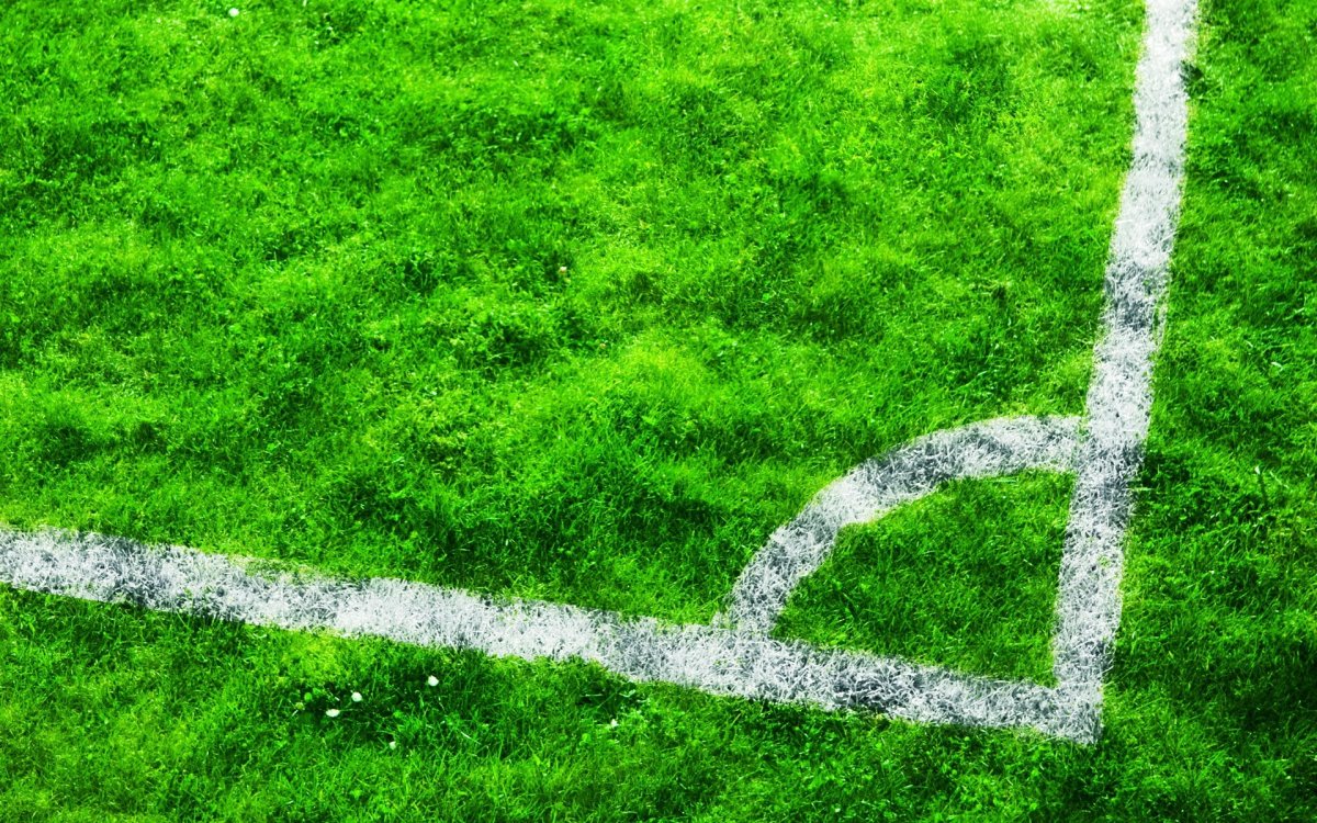 Футбольная трава