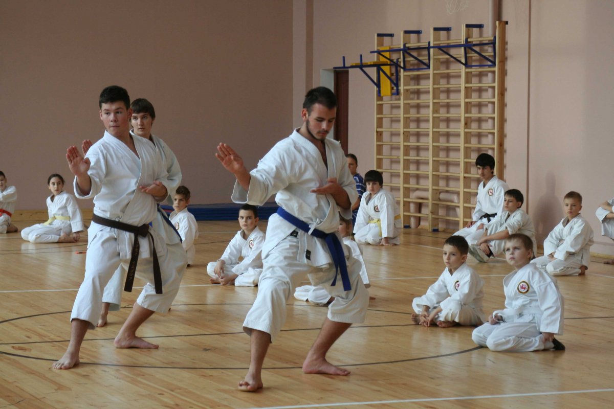 Клуб каратэ Дзаншин