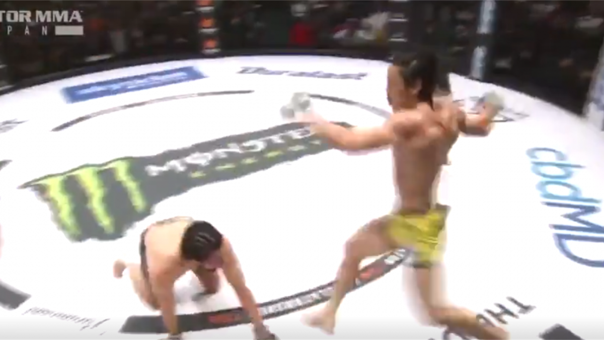 Адриан Янез боец UFC