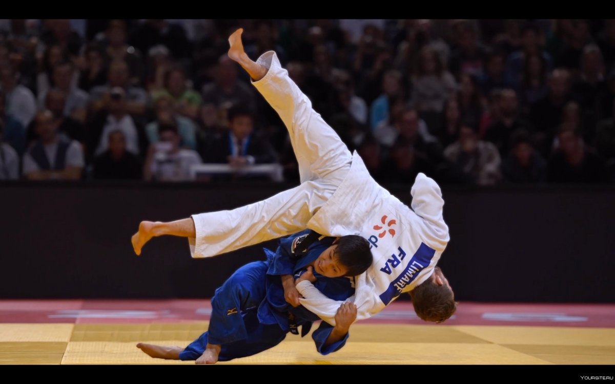 Judo броски