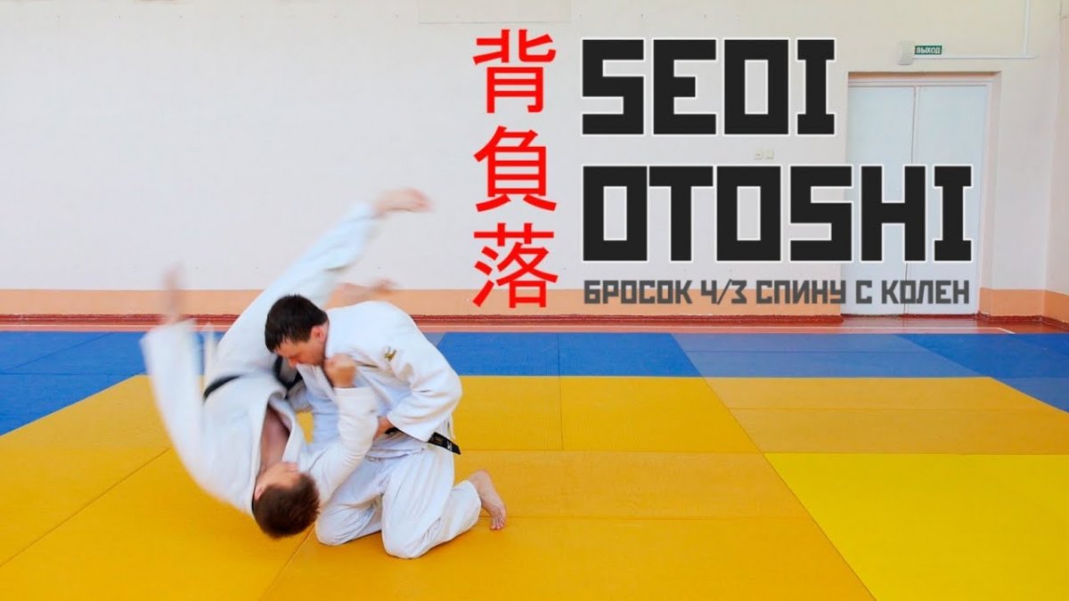 Дзюдо красивые броски
