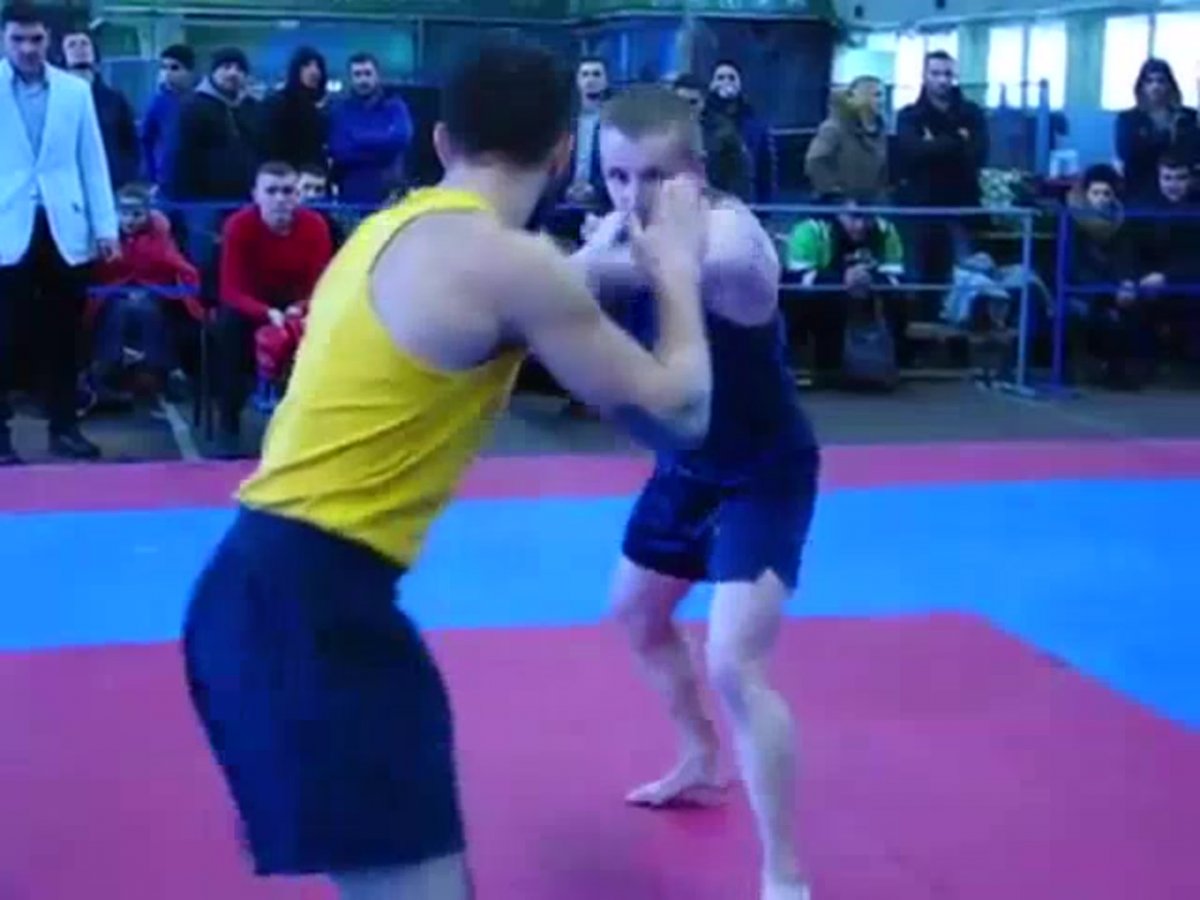 Удар Долио чаги