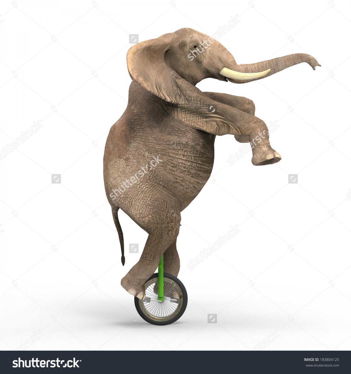 Слоник на велосипеде