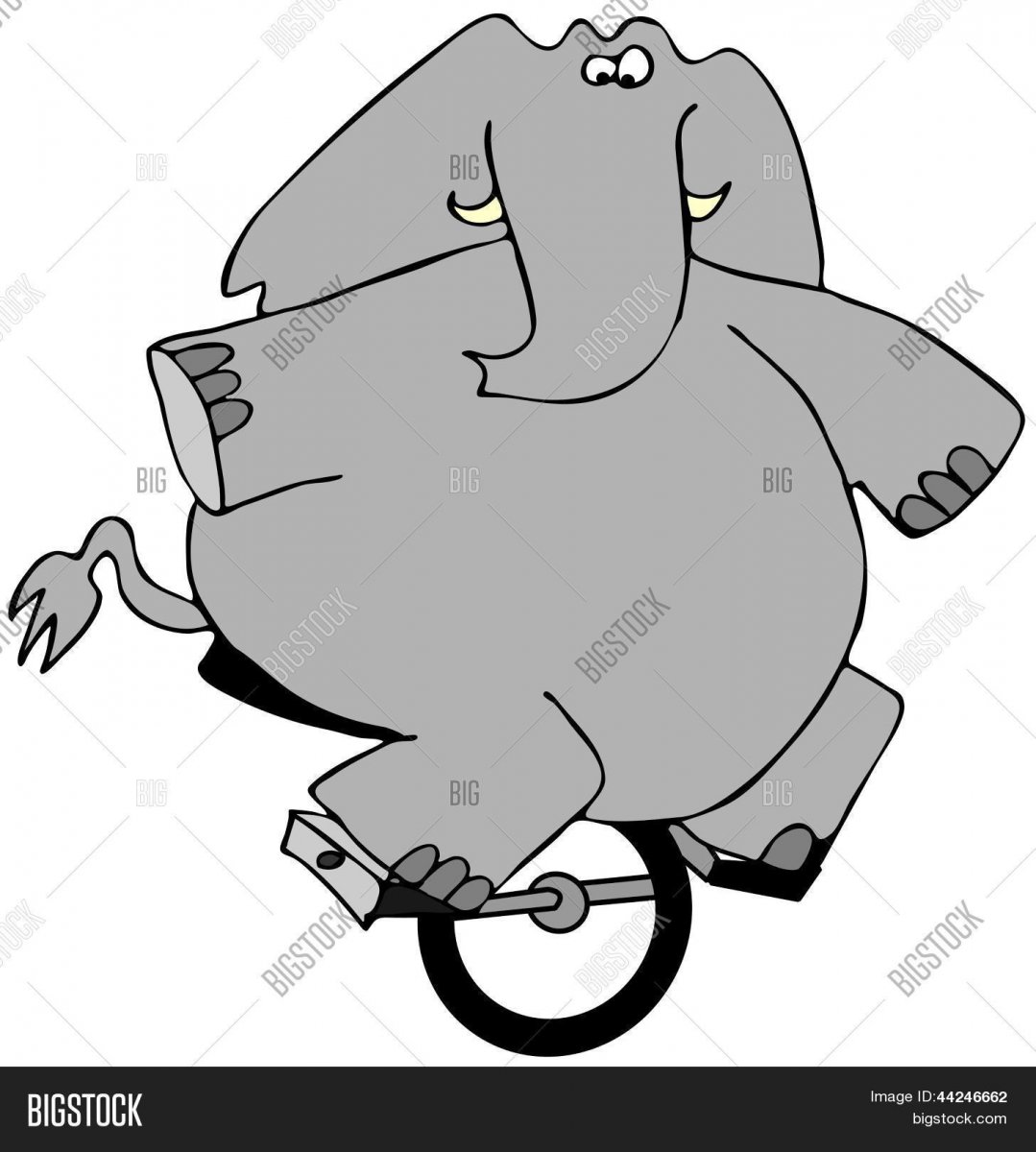 Слоны на велосипеде
