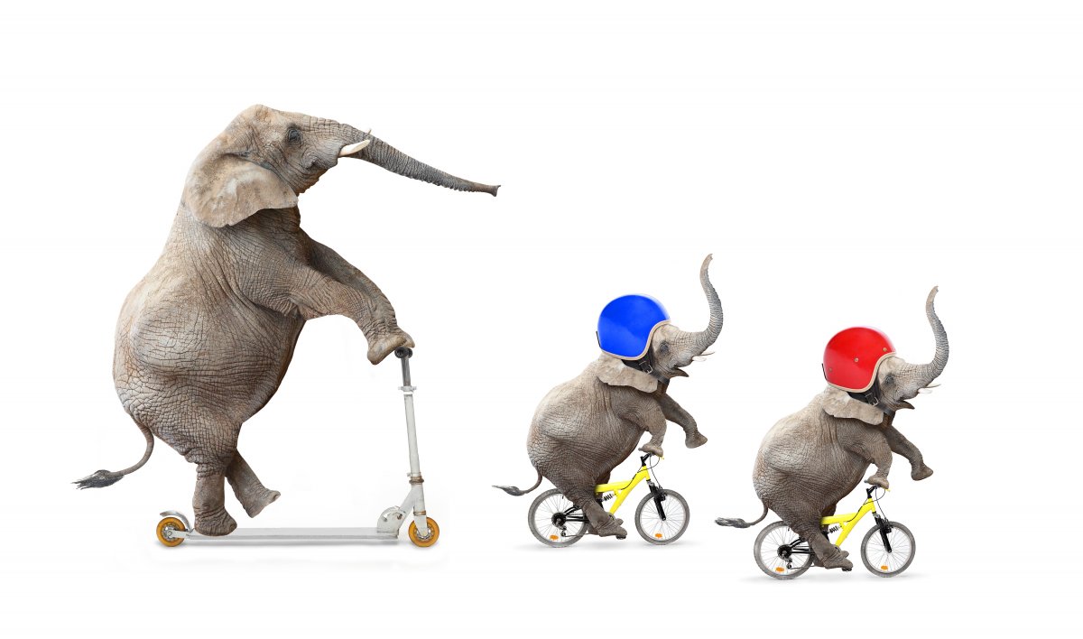 Слоник на одноколесном велосипеде