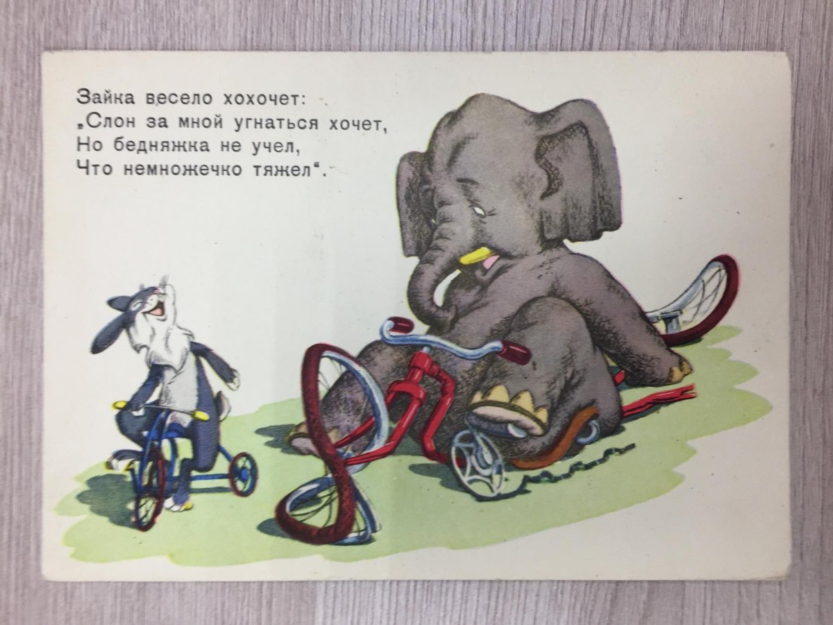 Слон на велосипеде