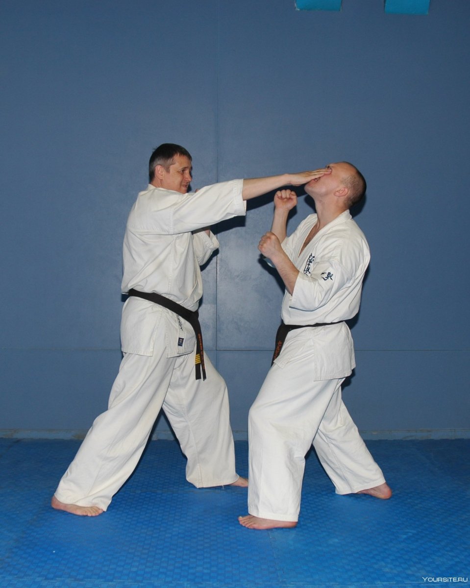 Karate moves