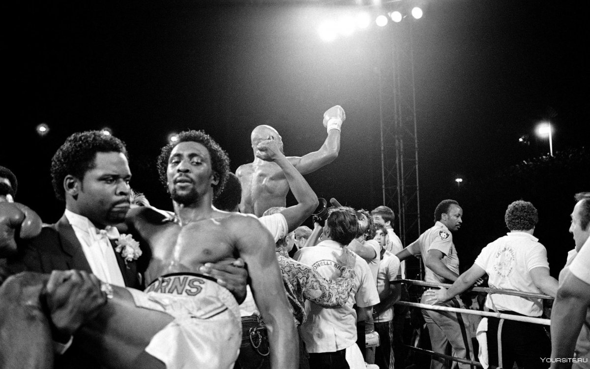 Винни Пациенца