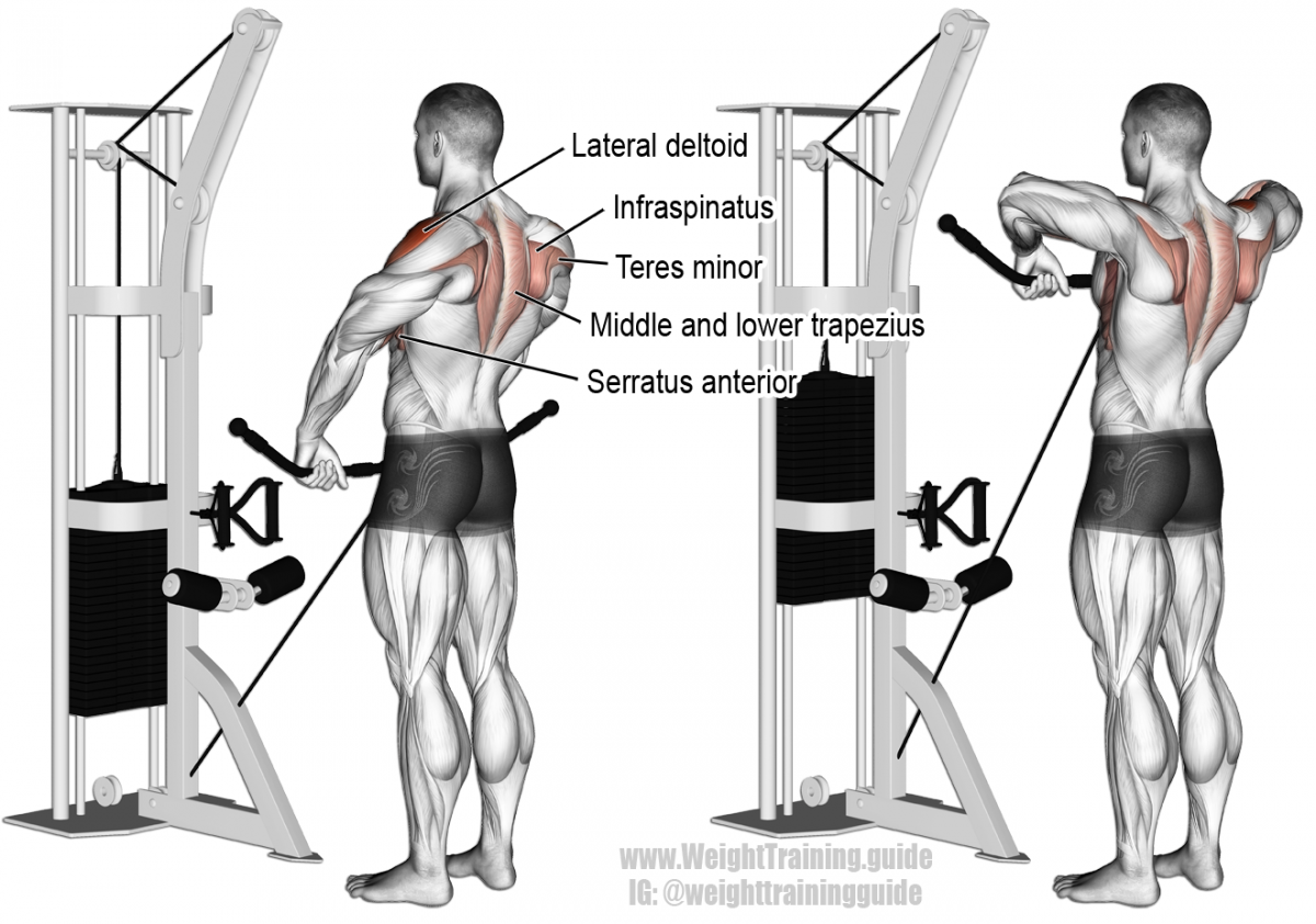 Reverse Grip Pulldown