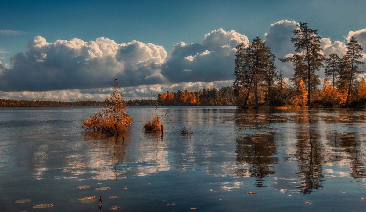 Озеро Лососинное Карелия