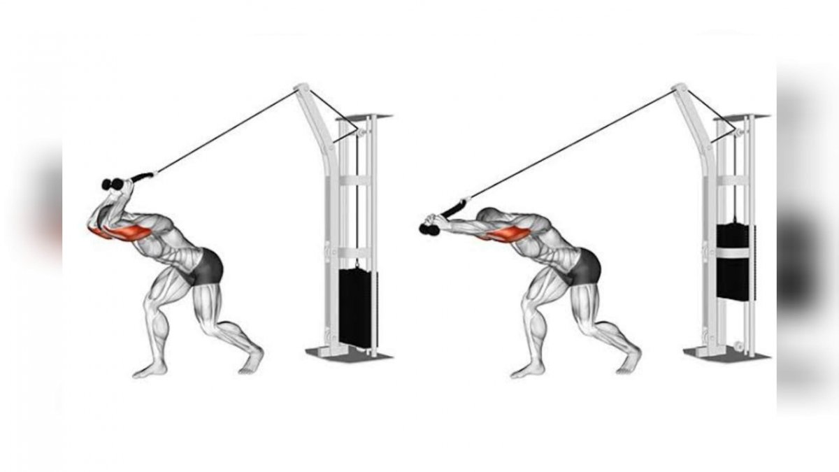 Tricep Cable overhead Extension
