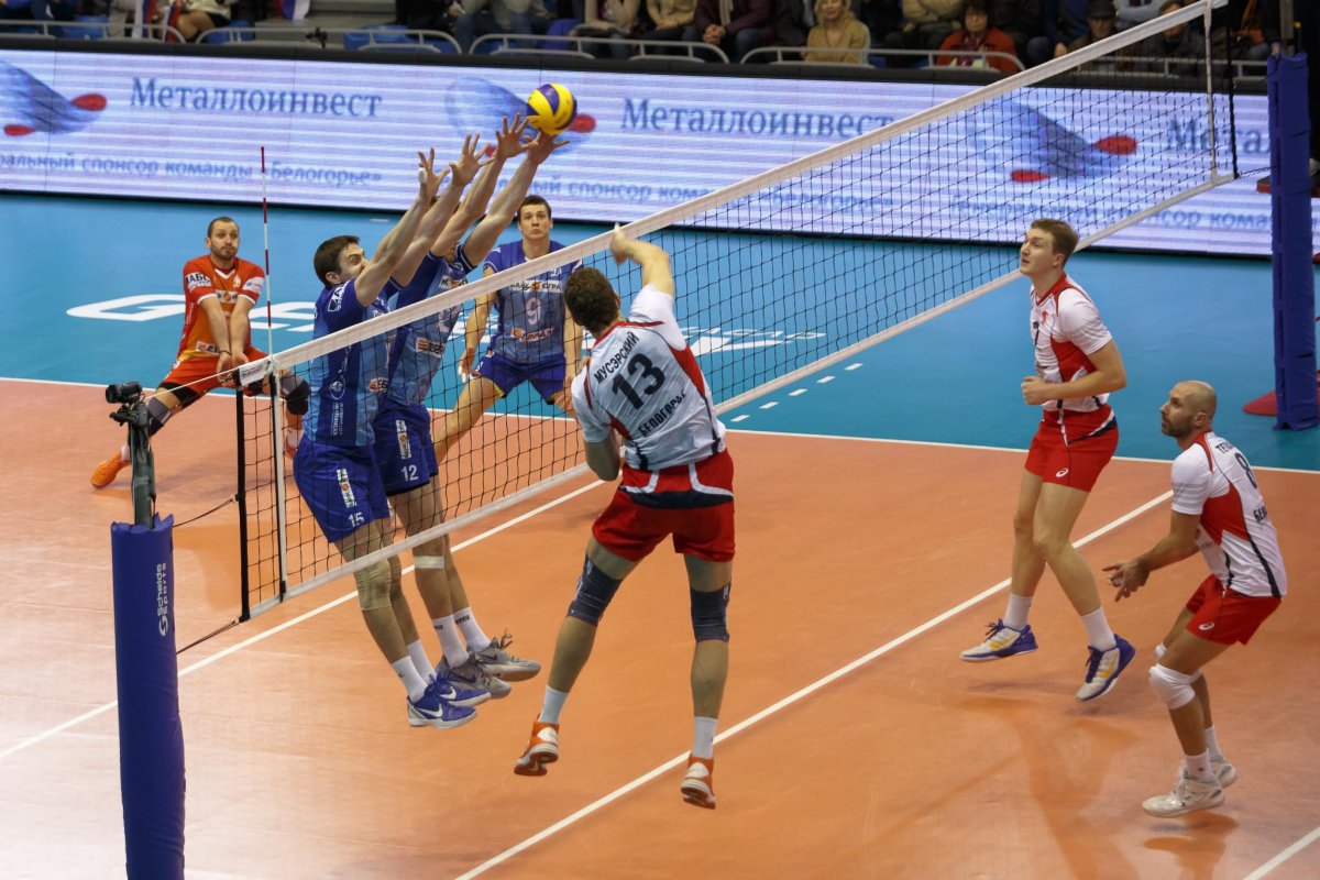 Максим Михайлов волейбол 2012