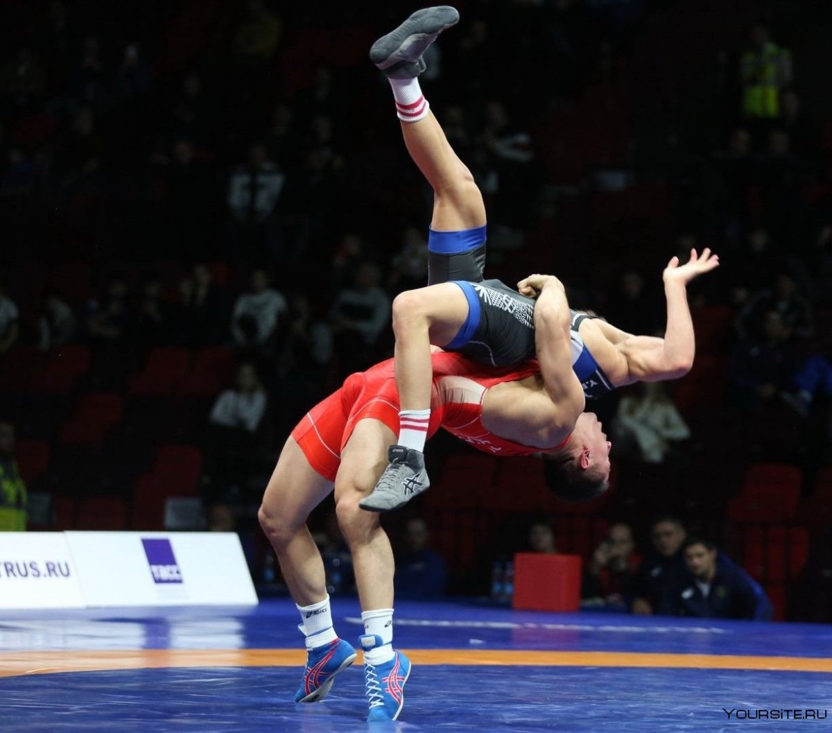 Красивые борцы